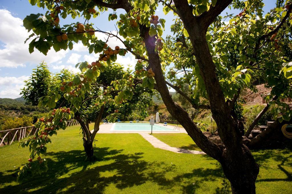 La Cianella - Adult Only Villa Scarlino Ngoại thất bức ảnh